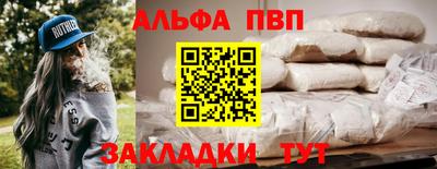 спиды Гай