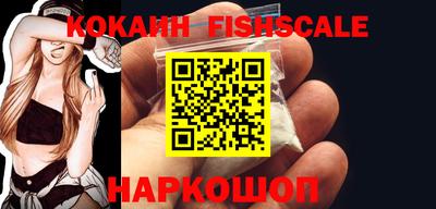 спиды Гай
