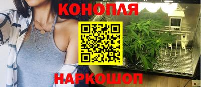 МДПВ Пенза