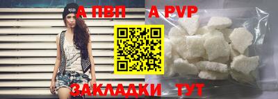 спиды Гай