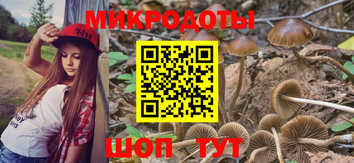 Псилоцибиновые грибы Psilocybine cubensis Мариинск